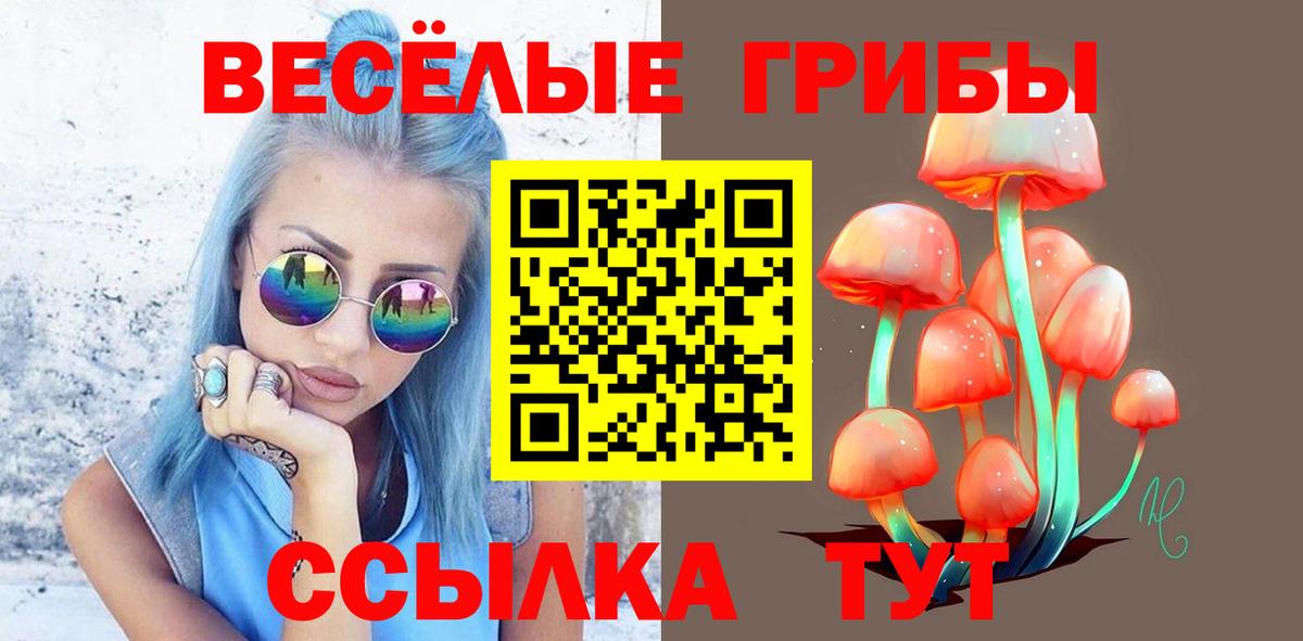 Псилоцибиновые грибы мухоморы  Вход с VPN  Рассказово  Галлюциногенные грибы MAGIC MUSHROOMS 
